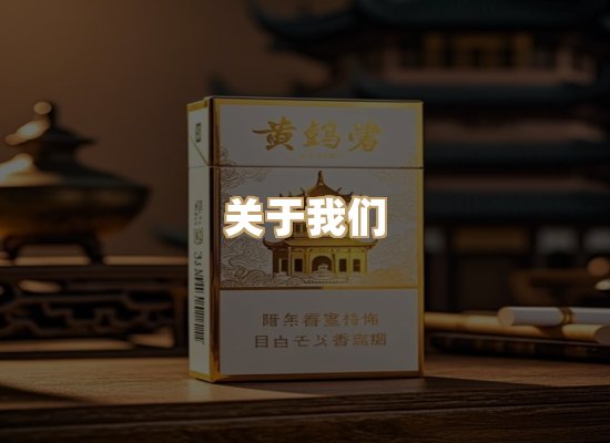 关于蓝帝网